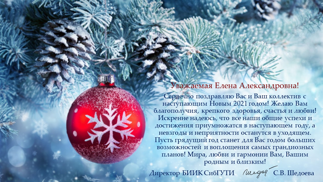 Поздравление с Новым годом от от БИИК СибГУТИ